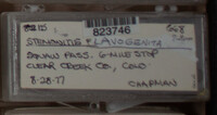 Image Associated With the Occurence